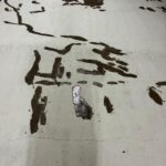 Sincan Vadi Koç Life